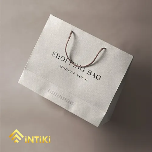 TÚI GIẤY IN ẤN TẠI QUY NHƠN